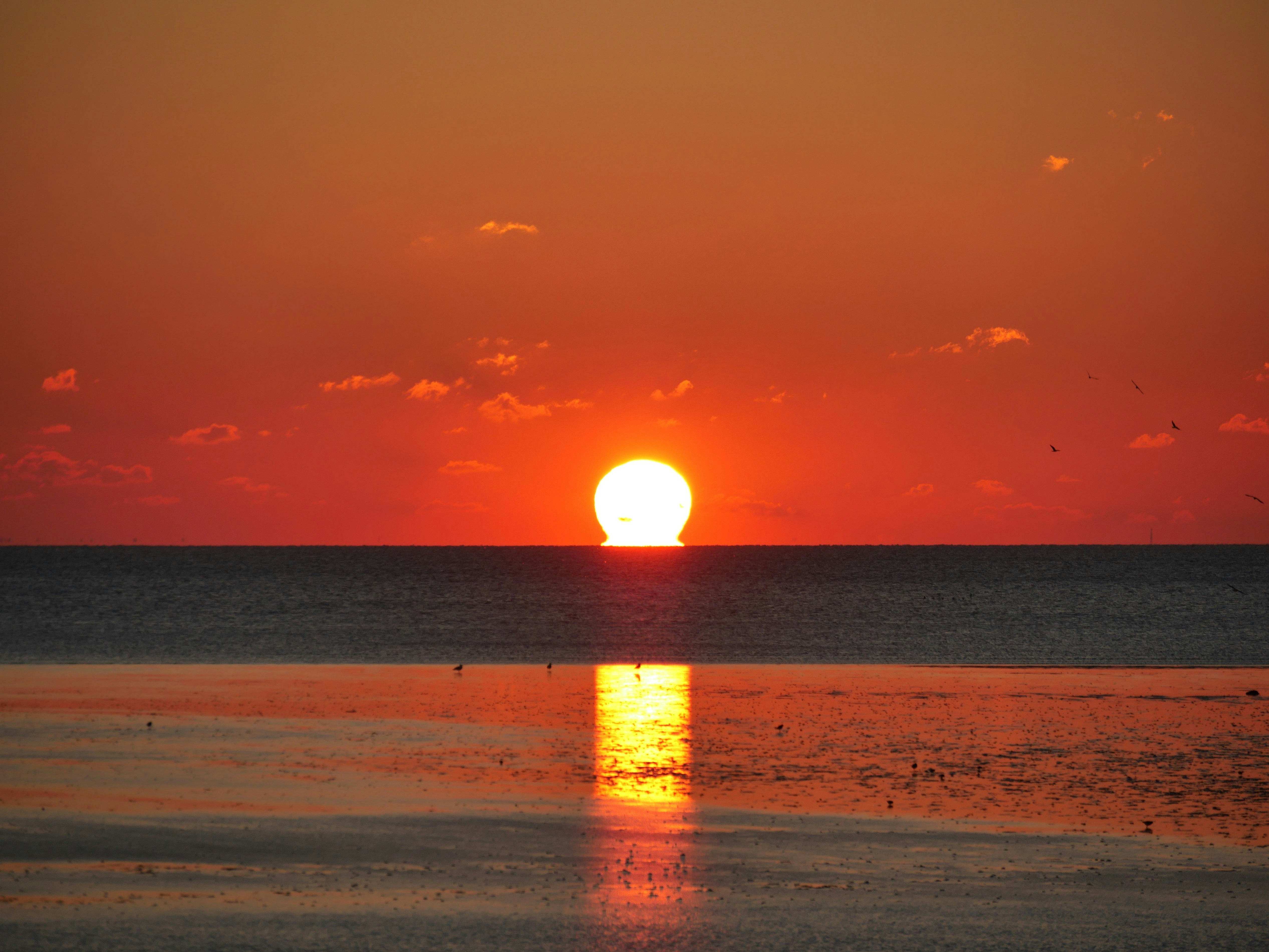 sunset over the sea with people walking on the beach